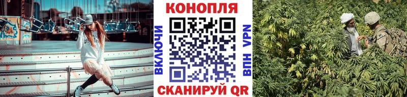  COCAIN Адыгейск
