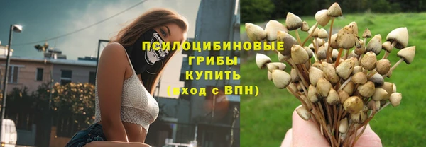 прущий лед Абаза