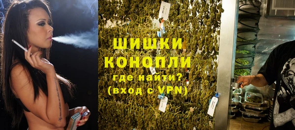 прущие грибы Уссурийск