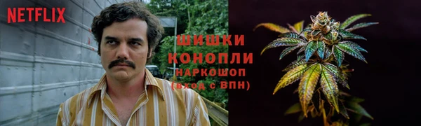 прущий лед Абаза
