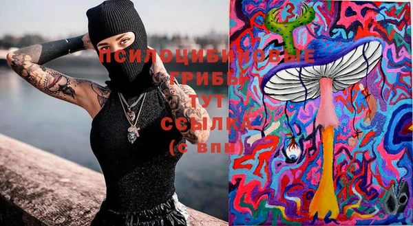 прущий лед Абаза