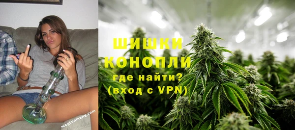 прущие грибы Уссурийск