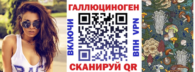 Галлюциногенные грибы Magic Shrooms  как найти закладки  Адыгейск 